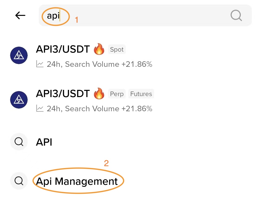 API Management